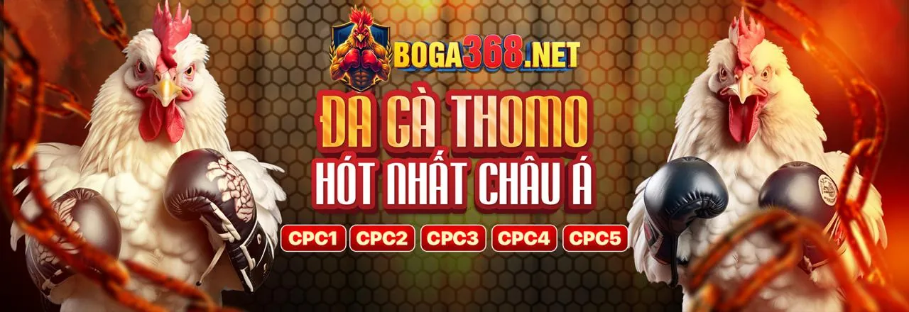 Hình ảnh Đá Gà trực tuyến trên helo888 app
